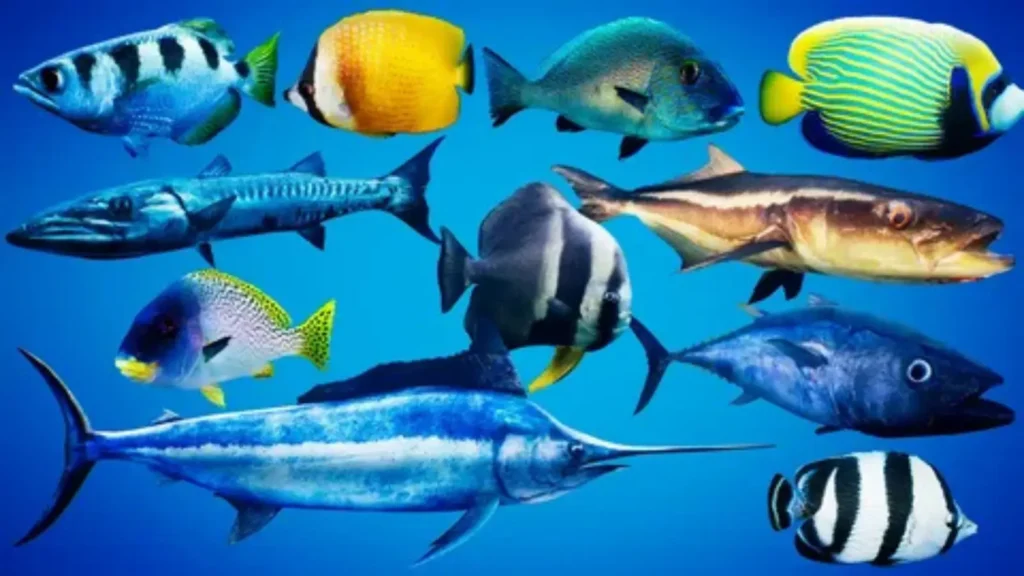 fish pick up lines