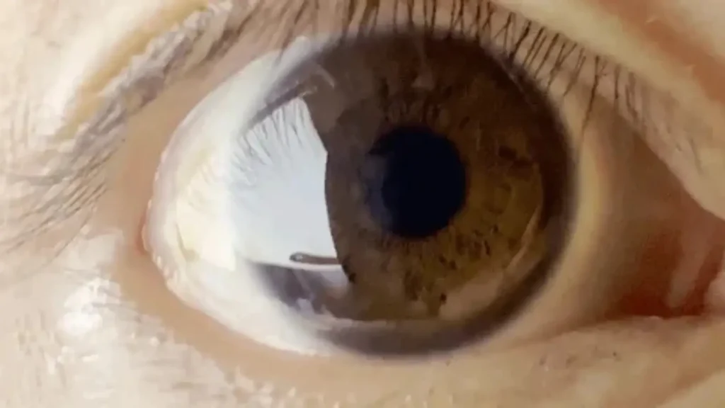 pick up lines about eyes