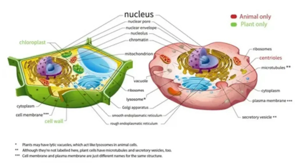 biology pick up line