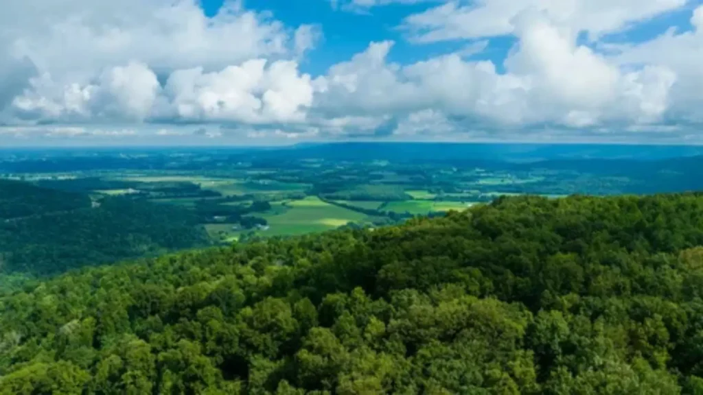 pick up lines about tennessee